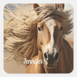 Sticker Carré Beau Cheval Brown Courir