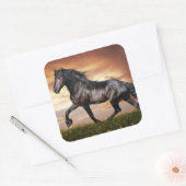 Sticker Carré Beau Cheval Noir (Enveloppe)