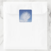 Sticker Carré Beau nuage (Sac)