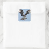 Sticker Carré Beau Osprey à la recherche de proies (Sac)