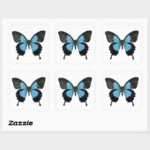 Sticker Carré Beau Papillon noir bleu (Feuille)
