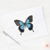 Sticker Carré Beau Papillon noir bleu (Enveloppe)