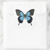 Sticker Carré Beau Papillon noir bleu (Sac)