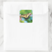 Sticker Carré Beau papillon Swallowtail sur de jolies fleurs (Sac)