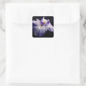 Sticker Carré Beauté de la fleur japonaise Iris (Sac)