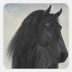 Sticker Carré Beauté noire - Portrait de Cheval friésien noir