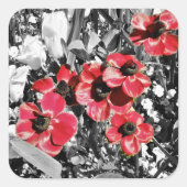 Sticker Carré Beauté sélective - Fleurs d'anémones (Devant)