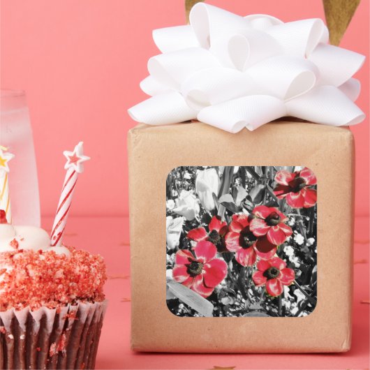 Sticker Carré Beauté sélective - Fleurs d'anémones (Fête)