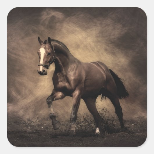 Sticker Carré Beautiful horse throw pillow (Devant)