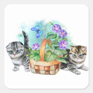 Sticker Carré Beaux chatons doux