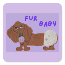 Bébé Fourrure Chien Teckel
