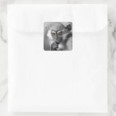 Sticker Carré Bébé Mangabey Singe (Sac)