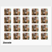 Sticker Carré Bébé mignon Orangutan vue droit devant (Feuille)