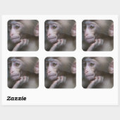 Sticker Carré Bébé singe (Feuille)