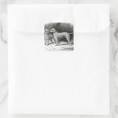 Sticker Carré Bedlington Terriers- M. F. Armstrong (Sac)