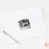 Sticker Carré Bedlington Terriers- M. F. Armstrong (Enveloppe)