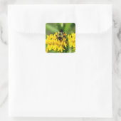 Sticker Carré Bee Feasting on Butterfly Weed Wildflowers (Sac)