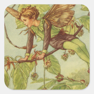 Sticker Carré Beech Tree Fairy by Vision Studio