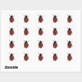 Sticker Carré Beetles Insectes Ladybug Beetles (Feuille)