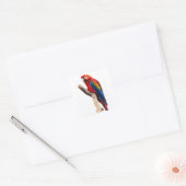 Sticker Carré Belle araignée colorée Macaw Parrot Bird (Enveloppe)