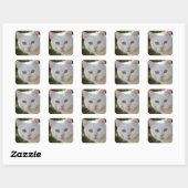 Sticker Carré Belle Chat Blanc (Feuille)