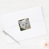 Sticker Carré Belle Chat Blanc (Enveloppe)