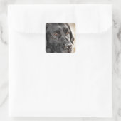 Sticker Carré Belle conception de chien Black Labrador Retriever (Sac)