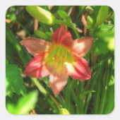 Sticker Carré Belle Lily (Devant)