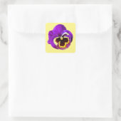 Sticker Carré Belle sansy violet (Sac)