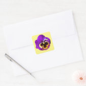 Sticker Carré Belle sansy violet (Enveloppe)