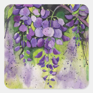 Sticker Carré Belles Fleurs De Wisteria En Aquarelle