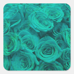 Sticker Carré Belles fleurs turquoises roses turquoises