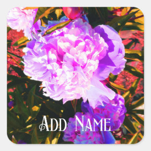 Sticker Carré Belles pivoines roses