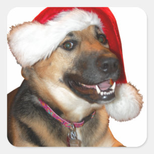 Sticker Carré Berger allemand de Noël