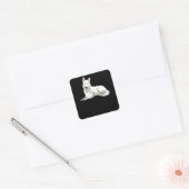 Sticker Carré Berger suisse blanc (Enveloppe)