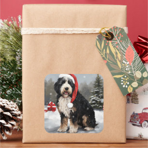 Sticker Carré Bernedoodle dans la neige à Noël