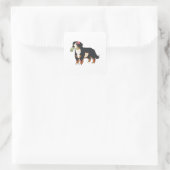 Sticker Carré Bernese Mountain Dog Zombie Halloween (Sac)