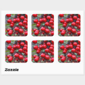 Sticker Carré Berries d'automne (Feuille)