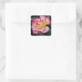 Sticker Carré Betty Boop Rose (Sac)