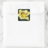 Sticker Carré Beurre Jaune - Jour (Sac)