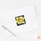Sticker Carré Beurre Jaune - Jour (Enveloppe)