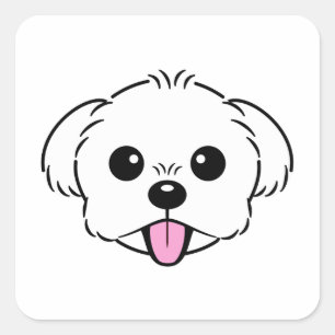 Sticker Carré Bichon blanc mignon Frise Chien Stick Sortie
