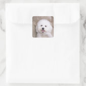 Sticker Carré Bichon Frise (Sac)