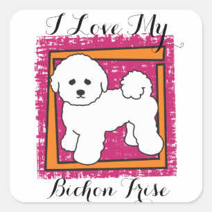 STICKER CARRÉ BICHON FRISE