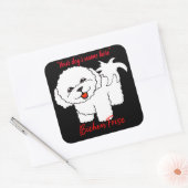 Sticker Carré Bichon Frise (Enveloppe)