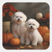 Sticker Carré Bichon Frise Puppy Automne Citrouille délice (Devant)