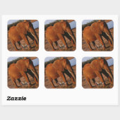 Sticker Carré Big Red (Feuille)