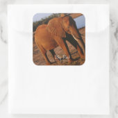 Sticker Carré Big Red (Sac)