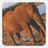 Sticker Carré Big Red (Devant)