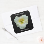 Sticker Carré 'Big Snowbird' Blanc jour sur plaque d'immatricula (Enveloppe)